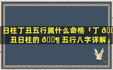 日柱丁丑五行属什么命格「丁 🕊 丑日柱的 🐶 五行八字详解」